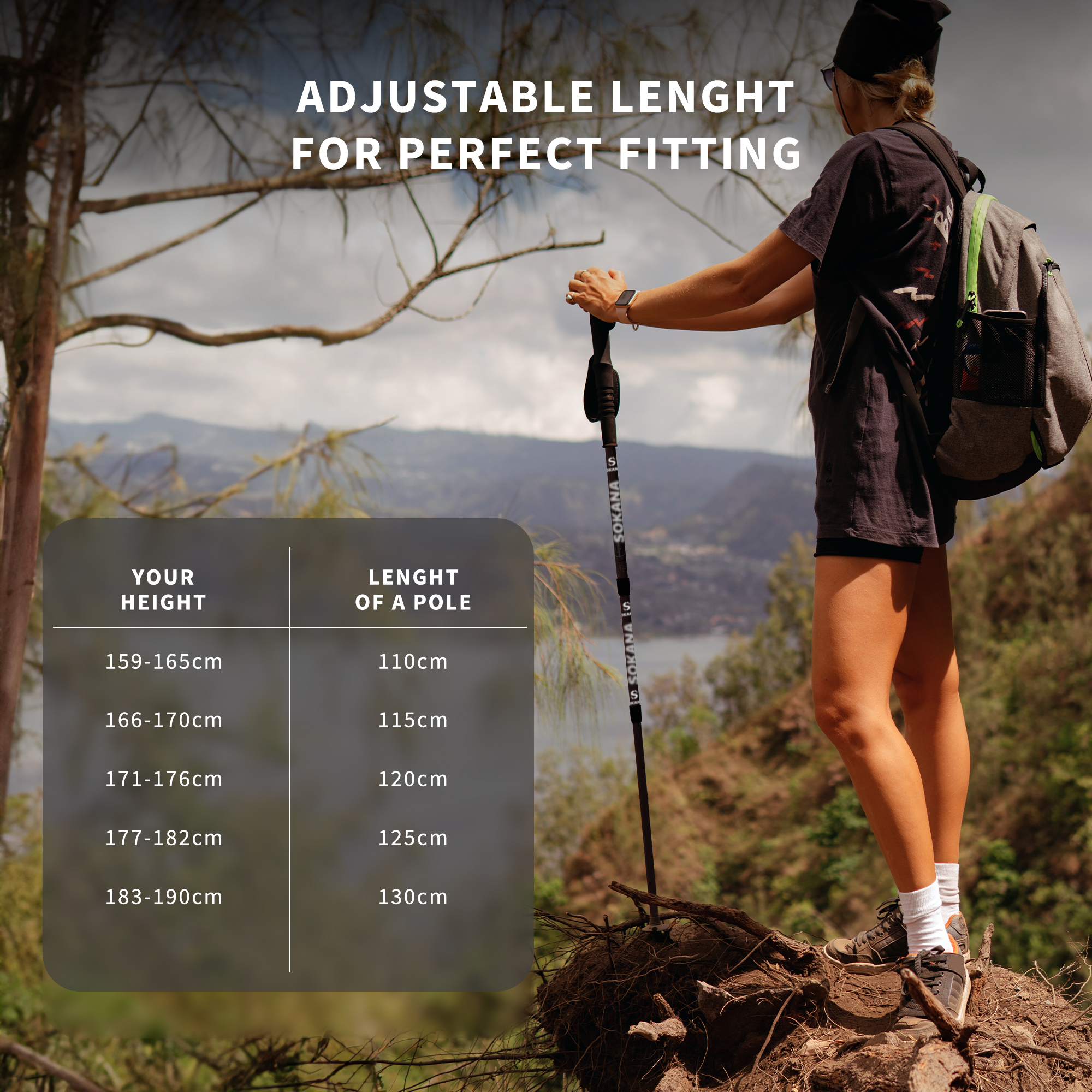 2x 3-Section Telescopic Anti-shock Trekking Walking Poles Hiking Sticks - Picture 4 of 20